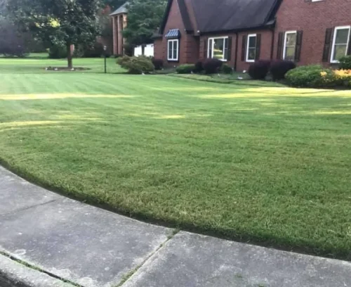 landscape maintain services bottom memphis tn