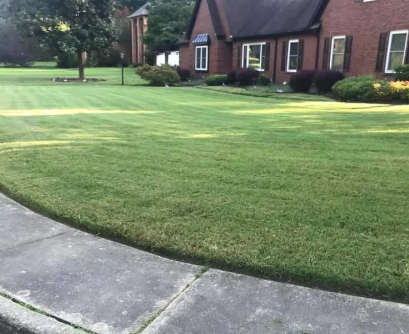 landscape maintain services bottom memphis tn