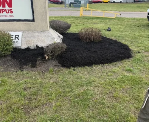 mulch install flower bed bottom memphis tn
