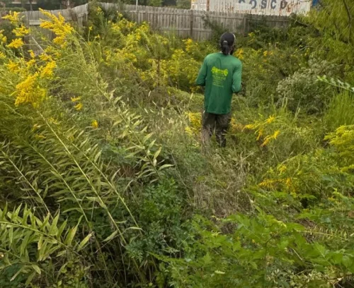 weed control work bottom memphis tn